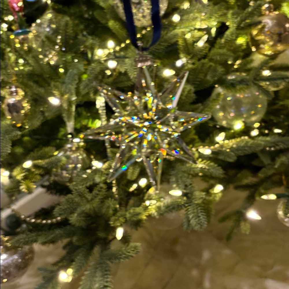 2009  Swarovski Christmas Ornament